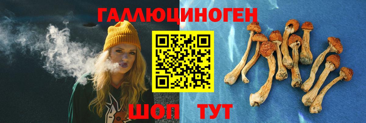 Мыски  Галлюциногенные грибы мицелий  Вход с VPN 