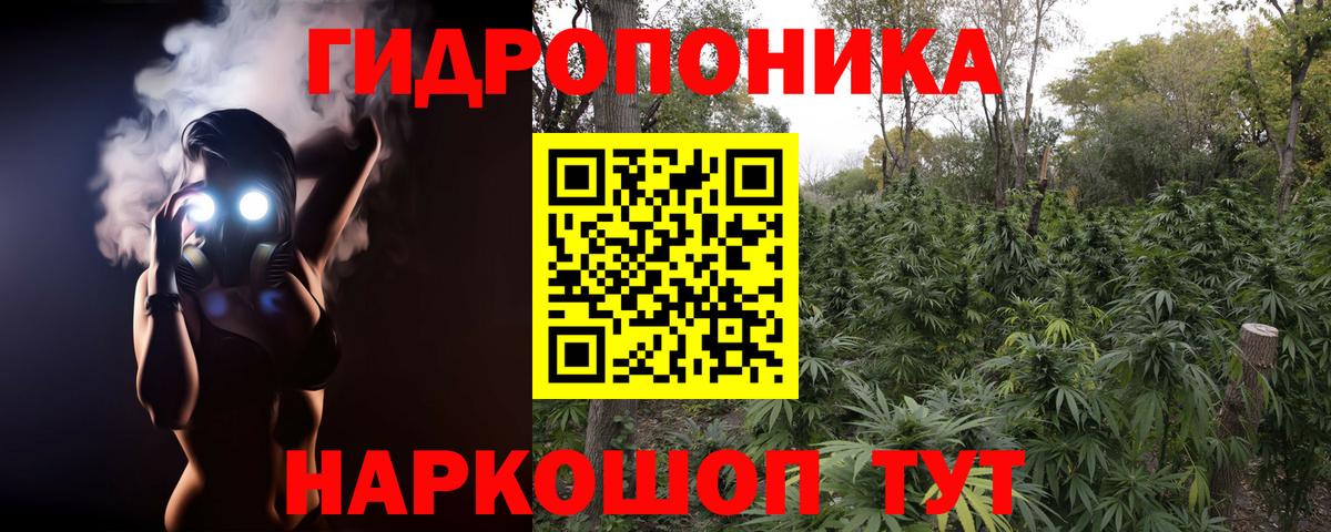 Мыски  Канабис VHQ  Вход с VPN  Марихуана сатива  Конопля ГИДРОПОН 